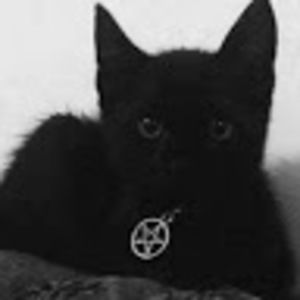 Meet your Posher, Ilimary